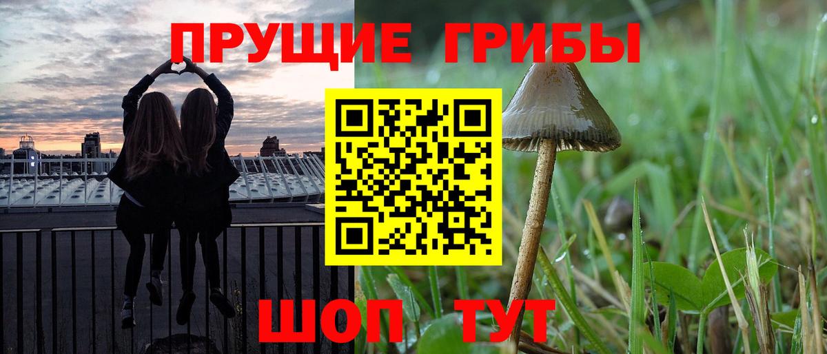 Галлюциногенные грибы прущие грибы  Вход с VPN  Псилоцибиновые грибы Cubensis  наркотики  Гусиноозёрск 